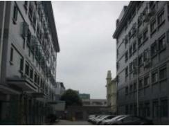 上海梅隴科技信息園助力企業(yè)跨越發(fā)展，筑夢科技未來